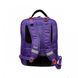 Школьный тканевой рюкзак Delsey 3395621-08