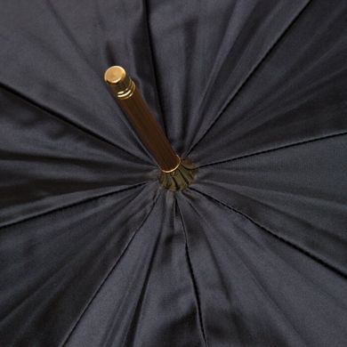 Зонт трость Pasotti item189-21340/2-handle-k19