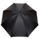 Зонт трость Pasotti item189-21340/2-handle-k19:3