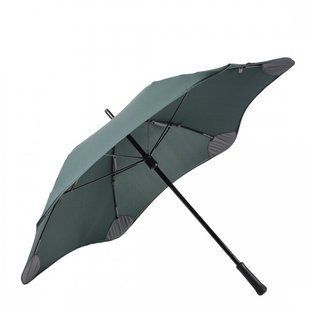 Парасолька тростинка blunt-mini-forest green