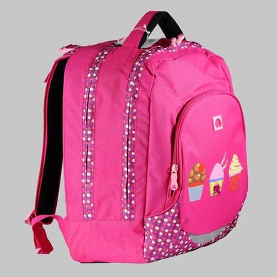 Шкільний рюкзак із поліестеру Delsey 3399621-09