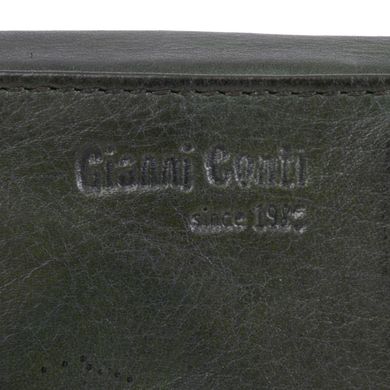 Кошелёк женский Gianni Conti из натуральной кожи 4208308-green