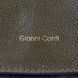 Сумка жіноча Gianni Conti з натуральної шкіри 4756493-green:2