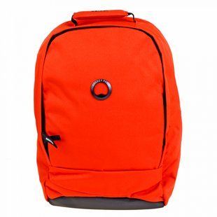 Рюкзак з відділенням для ноутбука 13,3" Delsey SECURBAN 3334603-25