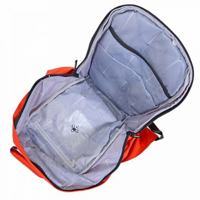 Рюкзак с отделением для ноутбука 13,3" Delsey SECURBAN 3334603-25