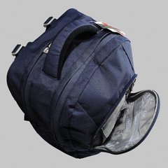 Школьный тканевой рюкзак Delsey 3399621-12