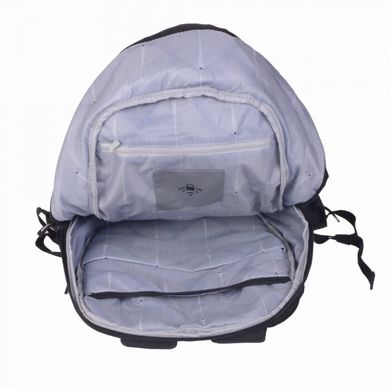 Рюкзак з відділенням для ноутбука 15.6" Delsey SECURBAN 3334600-00