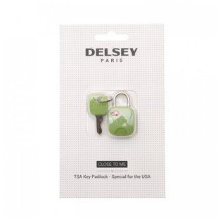 Навісний дорожній замок TSA з ключом Delsey 3940061-13