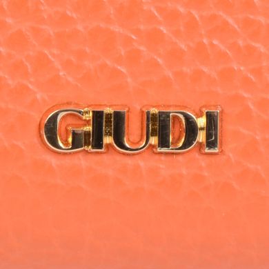 Кошелёк женский Giudi из натуральной кожи 7656/lgp/tn/ae/gve-1ww
