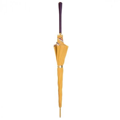 Зонт трость Pasotti item189-5g183/1-handle-n66
