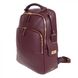 Рюкзак из натуральной кожи Tumi с отделением для ноутбука Stanton 0734427cor:3