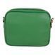 Сумка жіноча Gianni Conti з натуральної шкіри 136543-apple green:2