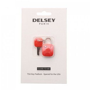 Навісний дорожній замок TSA з ключом Delsey 3940061-04