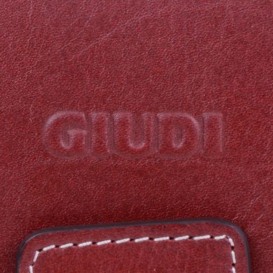 Гаманець жіночий Giudi з натуральної шкіри 6529/tv/gve-1f6