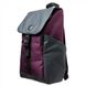 Рюкзак із поліестеру з відділенням для ноутбука 15,6" SECURFLAP Delsey 2020610-04:4