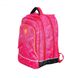 Школьный тканевой рюкзак Delsey 3396621-19