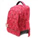 Школьный тканевой рюкзак Delsey 3393620-09