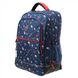 Школьный тканевой рюкзак Delsey 3393621-02 мультицвет:4
