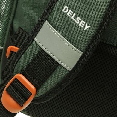 Школьный тканевой рюкзак Delsey 3393621-03 мультицвет