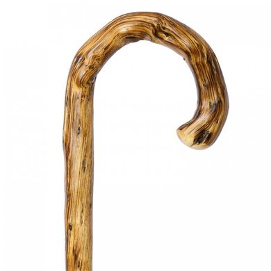 Тростина Pasotti stick