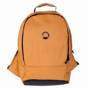 Рюкзак с отделением для ноутбука 13,3" Delsey SECURBAN 3334603-05