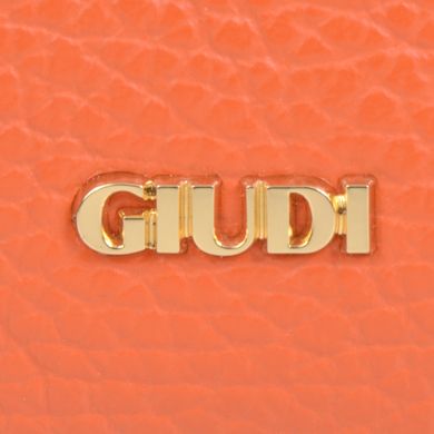 Кошелёк женский Giudi из натуральной кожи 7658/lgp/tn/ae/gve-1ww