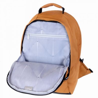 Рюкзак с отделением для ноутбука 13,3" Delsey SECURBAN 3334603-05