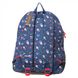 Школьный тканевой рюкзак Delsey 3393622-02 мультицвет:4
