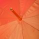 Зонт трость Pasotti item189-5z066/4-handle-n5:4