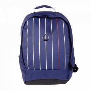 Рюкзак с отделением для ноутбука 15.6" Delsey SECURBAN 3334600-02