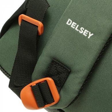 Школьный тканевой рюкзак Delsey 3393622-03 мультицвет