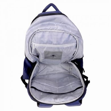 Рюкзак з відділенням для ноутбука 15.6" Delsey SECURBAN 3334600-02