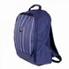Рюкзак з відділенням для ноутбука 15.6" Delsey SECURBAN 3334600-02:4