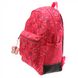 Школьный тканевой рюкзак Delsey 3393622-09 мультицвет:4