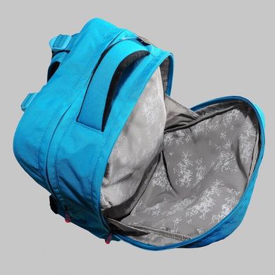 Школьный тканевой рюкзак Delsey 3399621-23