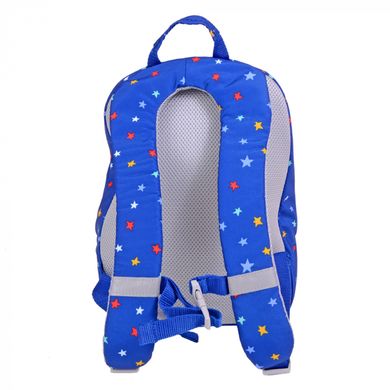 Школьный текстильный рюкзак Samsonite 40c.031.033