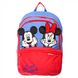 Шкільний текстильний рюкзак Samsonit 40c.010.026 мультиколір:1